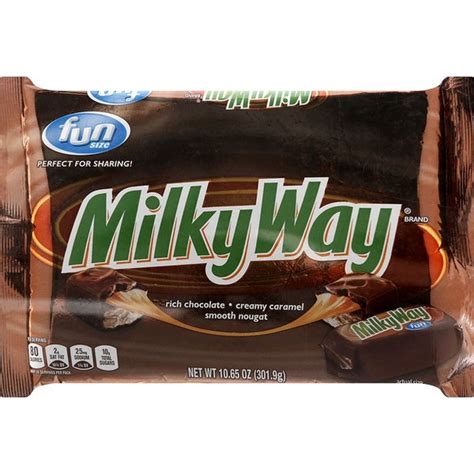 Milky Way Chocolate Candy Bar Fun Size 10 65 Oz From Big Y World Class Market Instacart