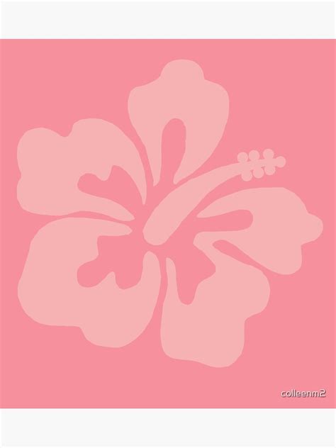 Light Pink Hibiscus Flower Poster For Sale By Colleenm2 Redbubble