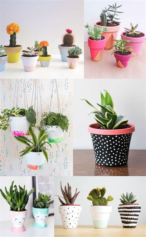 20+ Cute Cactus Pot Ideas – The Urban Decor