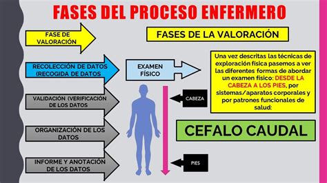 Proceso Enfermero Fase De Valoraci N Youtube