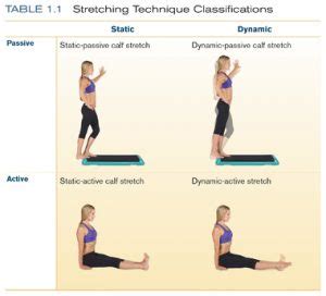 Static Stretching | BMEG442: Engineering Exercise and Sports