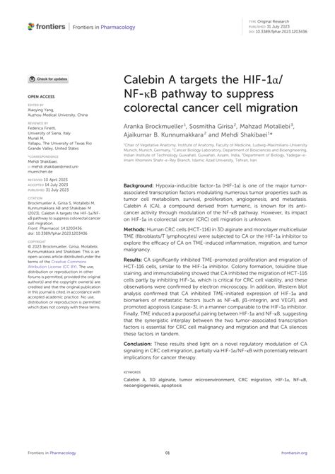 Pdf Calebin A Targets The Hif 1α Nf κb Pathway To Suppress Colorectal Cancer Cell Migration