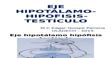 Eje Hipot Lamo Hip Fisis Test Culo Pdf Document