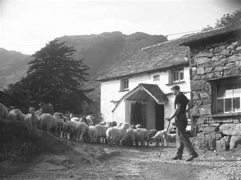 Yew Tree Farm Coniston Art Uk