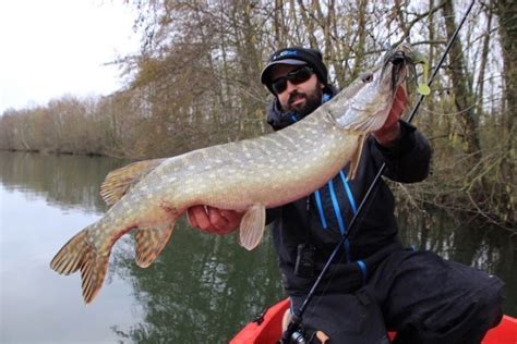 Pêche Du Brochet Au Rubber Jig Un Leurre Redoutable Defficacité