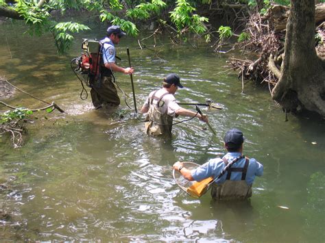 Spring Creek - Doc Fritchey Trout Unlimited