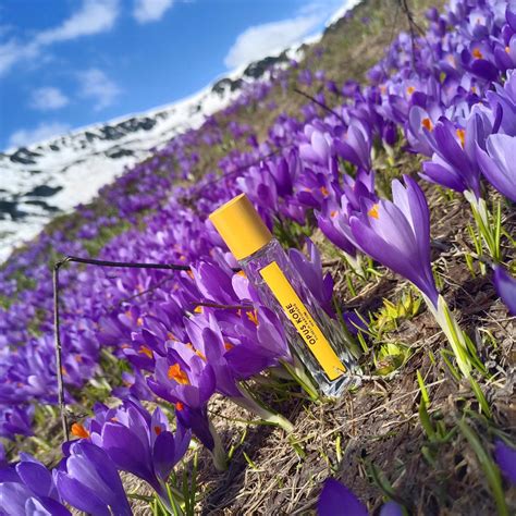 Opus Kore Vilhelm Parfumerie perfume - a fragrance for women 2015