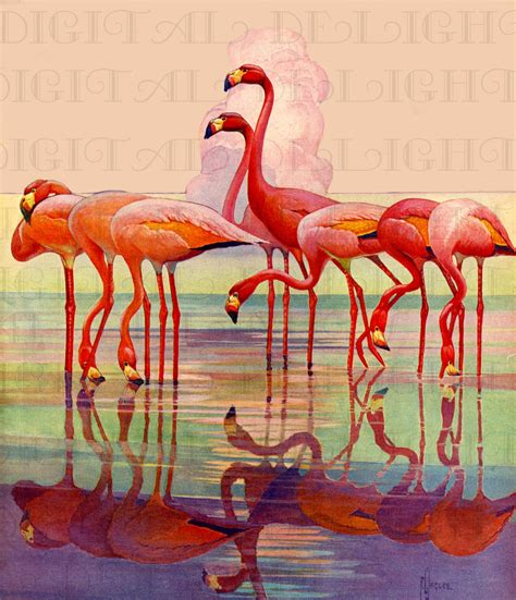 Spectacular Flamingo Vintage Art Deco Illustration Vintage