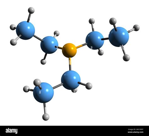 3D image de la formule squelettique de la triéthylamine structure