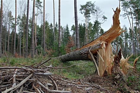 WICHURY w Polsce Niszczycielski wiatr W TYCH REGIONACH Synoptycy biją