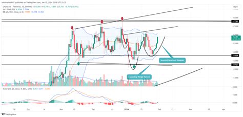 Chainlink Price Eyes 30 Milestone As Whales Ramp Up Accumulation