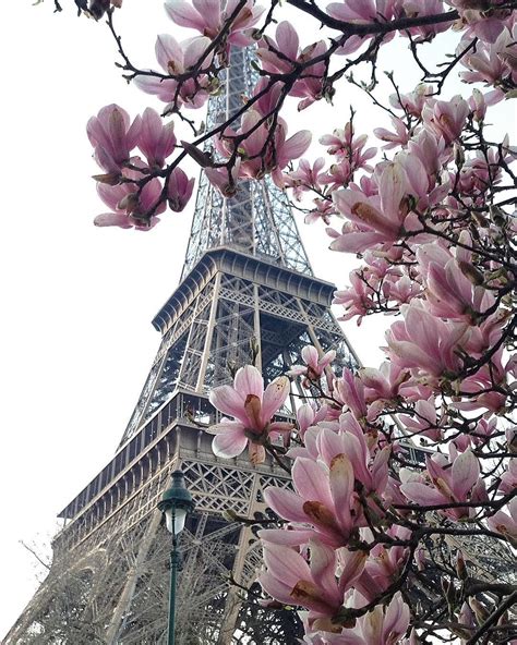 Paris Spring Time Wallpapers - Wallpaper Cave