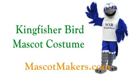 Kingfisher Bird Mascot Costume for William S. Reyes Elementary school ...