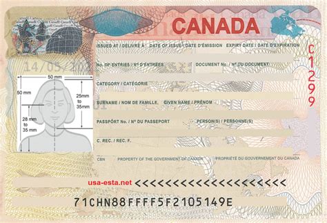 Formidable Tips About How To Apply For A Visitors Visa Canada