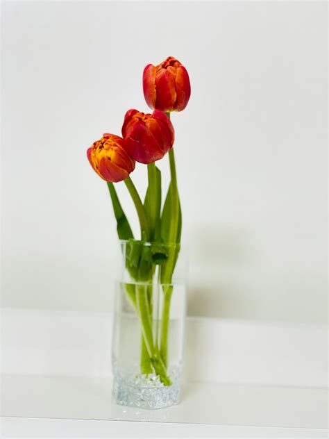 White Small Flowers in Clear Glass Vase · Free Stock Photo