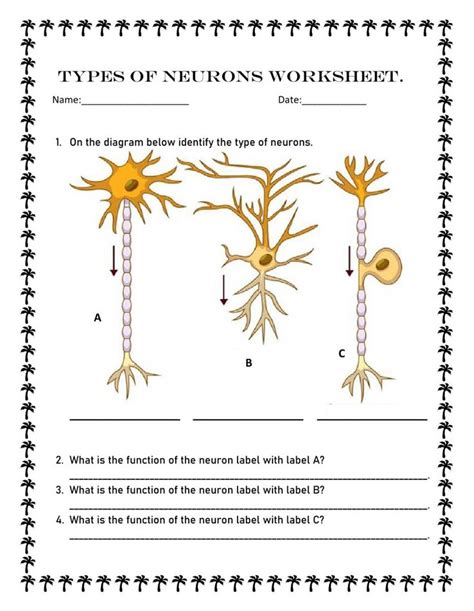 The Nervous System Online Worksheet For Grade 9 You Can Do The