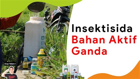 Insektisida Berbahan Aktif Ganda Ribu Youtube