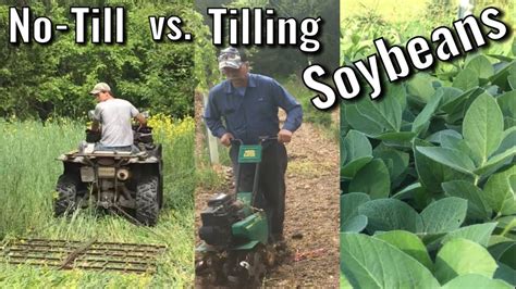 No Till Vs Tilling Soybean Food Plots Extremely Different Ways To