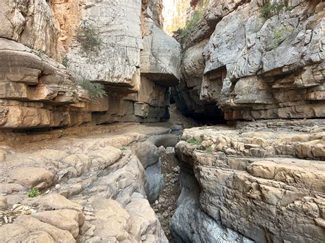 Canyoneer El Capitan Canyon - short raps and mud - WildPathsAZ