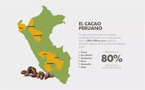 Cacao Coalición por una Producción Sostenible