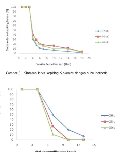 Pengaruh Suhu Dan Salinitas Pada Sintasan L Arva Kepiting Bakau Scylla