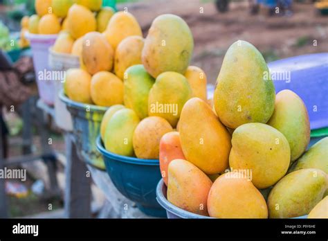 Yellow And Green African Mango Fruits Arranged In Small Portions For Sale In A Market Stock