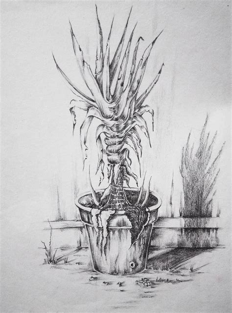 Plant Drawing Study Behance