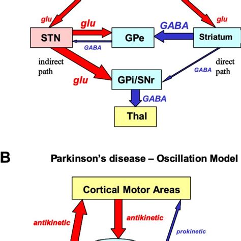 A Schematic Figure Of The Rate Model Of Parkinsons Disease The Major