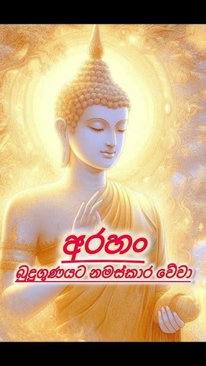 අරහං බුදු ගුණයට නමස්කාර වේ‍වා🙏🙏🙏 Flute Music Instrumental Love