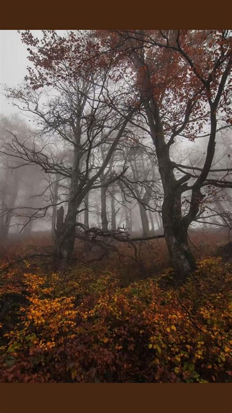 Guide to acadia national park in the fall – Artofit