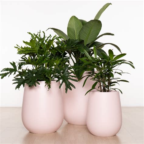 HALMSTAD Tall Duffel POTS Matte Pink Echuca Moama Plant Farm