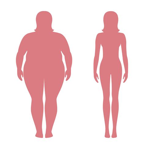 Vector Illustration Of Fat And Slim Woman Silhouettes Weight Loss