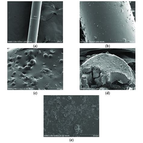 Sem Micrographs Of A Bare Fiber B Prepared Fiber At 400× C