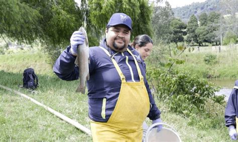 Crean banco de ADN para estudio genético del pez capitán de La Sabana