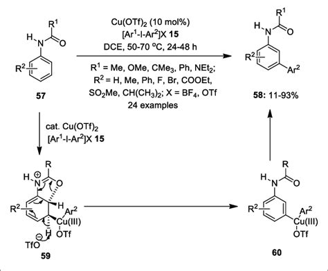 Cu Ii Catalyzed Selective Meta Arylation Of Amides Using Iodonium