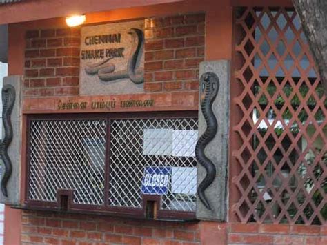 Snake Park, Chennai - Timings, Entry Fee, Best Time to Visit