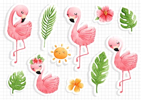 Flamingo Sticker Sheet Vector Art At Vecteezy