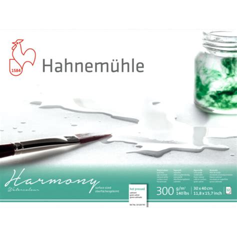 Hahnemühle Watercolour Harmony Aquarelpapier A4 hot pressed - 12 vellen ...