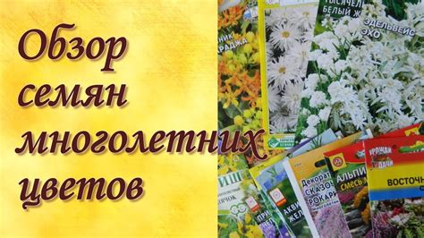 Обзор семян многолетних цветов - YouTube