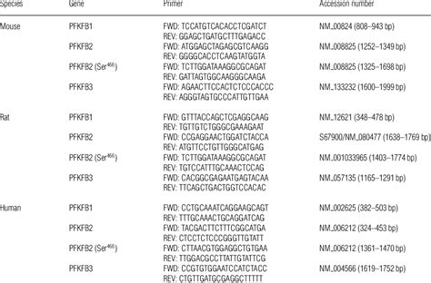 Primer Sequences For Real Time Rt Pcr Download Table