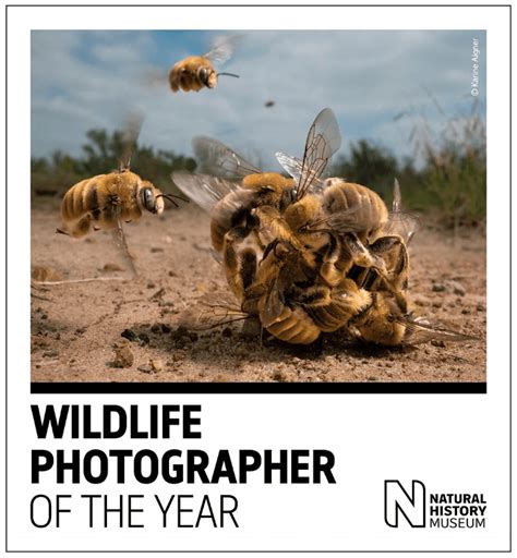 Wildlife Photographer Of The Year Mostra 2023 58 Edizione Pikasus