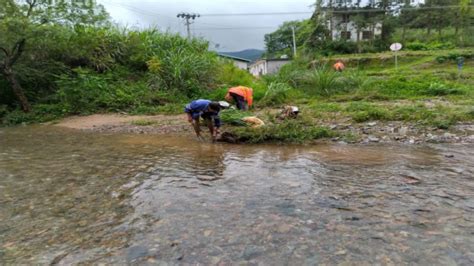 南坑乡富宝村——清理河道垃圾 共建河畅水清美丽家园 兴国县信息公开