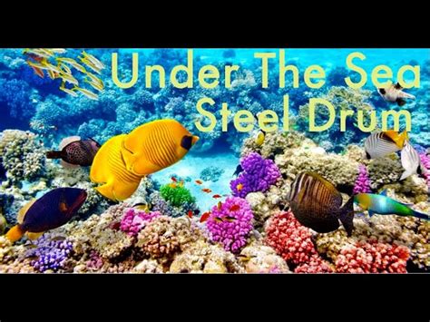 Under The Seathe Little Mermaidon Steel Drums Chords Chordify