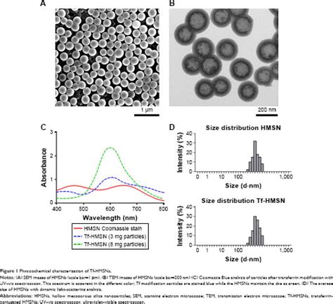 Transferrin Receptor Targeted Hmsn For Sorafenib Delivery In Refractory