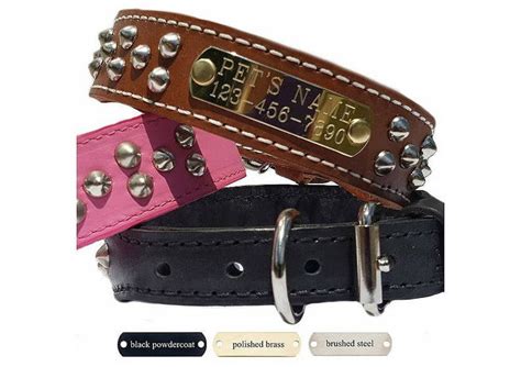 Leather Dog Collars With Nameplate and Studs Wide Dog - Etsy