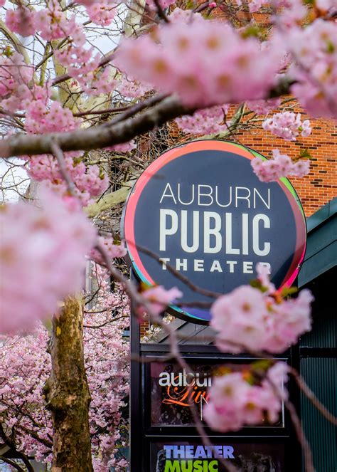 About Auburn Public Theater | Our Mission and Theater Programs