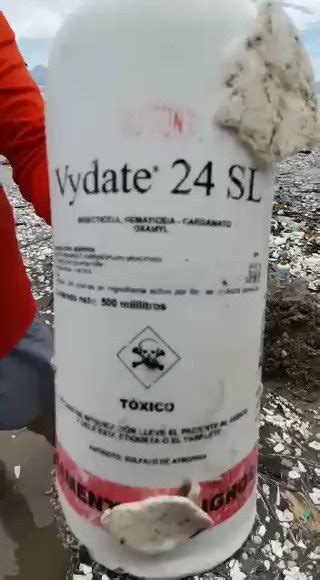 Infogt Noticias On Twitter Denuncian Contaminaci N En Lago De Atitl N