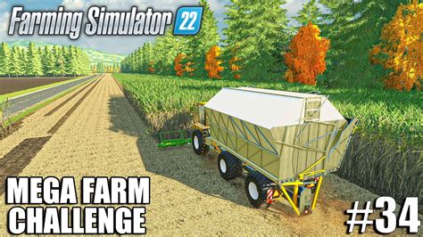 Mega Farm Sugarcane Harvest With Krone Butcher Mega Farm Challenge Farming Simulator 22