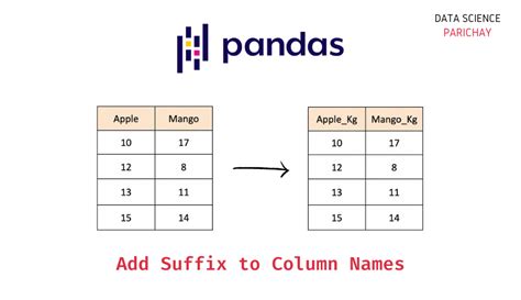 Pandas Dataframe With Duplicate Column Names Printable Online