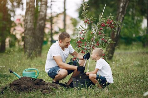 P Re Avec Petit Fils Sont En Train De Planter Un Arbre Sur Une Cour